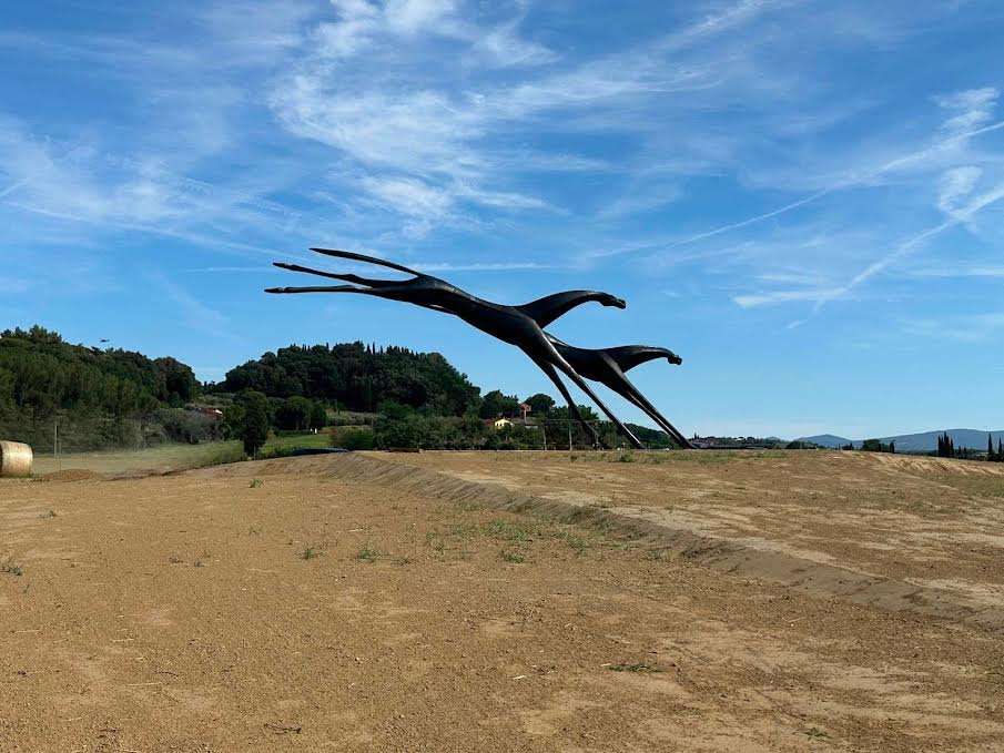 Leggerezza ed equilibrio. Ecco i Flying Horses di Antonio Signorini a Peccioli